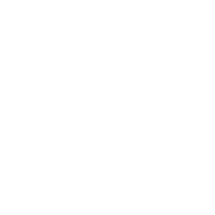 Team Magalhães